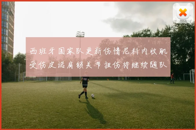 西班牙国家队更新伤情尼科内收肌受伤皮诺肩锁关节扭伤将继续随队训练